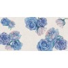 Rimura | Watercolor Roses