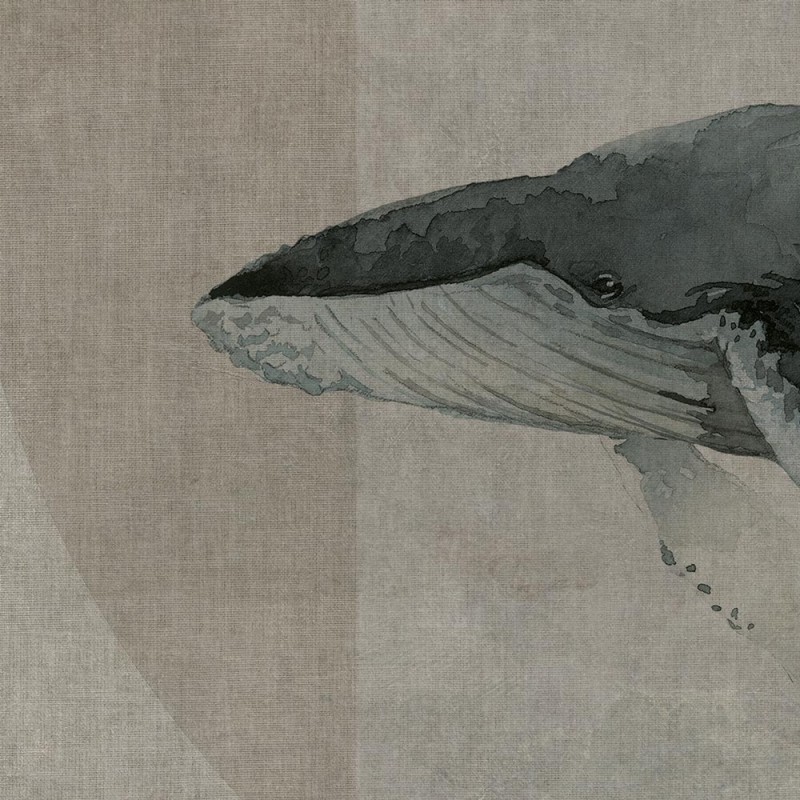 Rimura | Whales