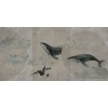 Rimura | Whales
