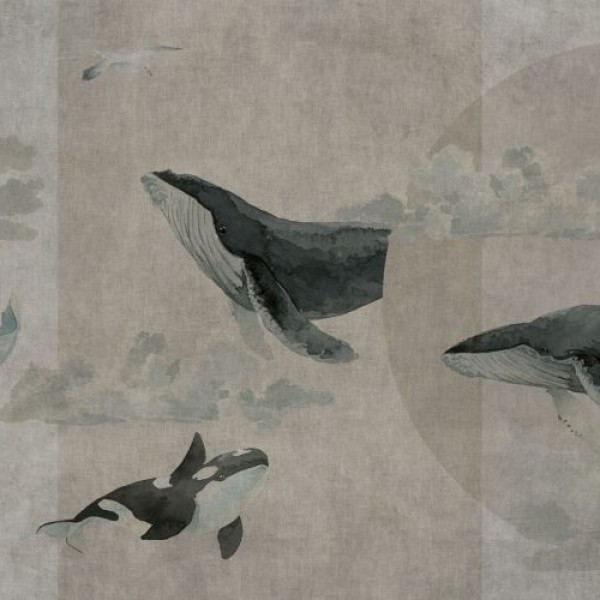 Rimura | Whales