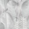 Rimura | White Leaf