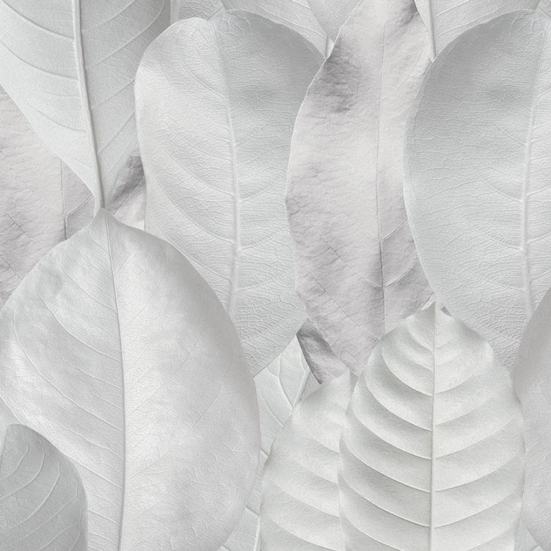 Rimura | White Leaf