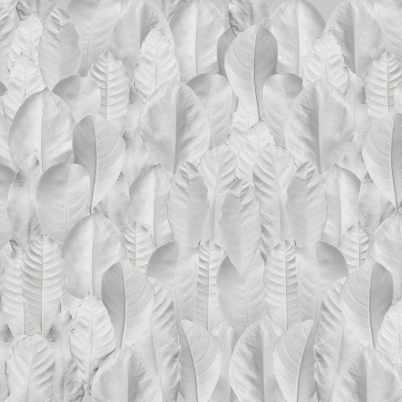 Rimura | White Leaf