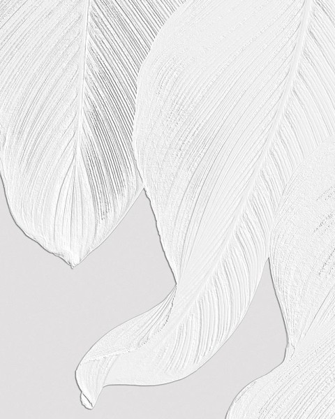 Rimura | White Cascade