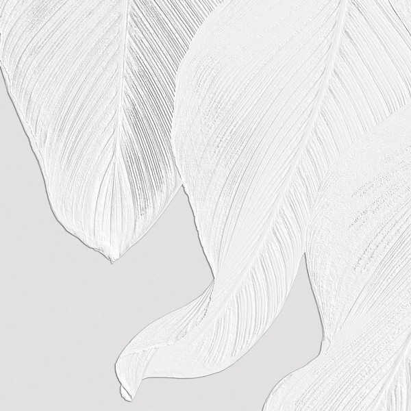 Rimura | White Cascade