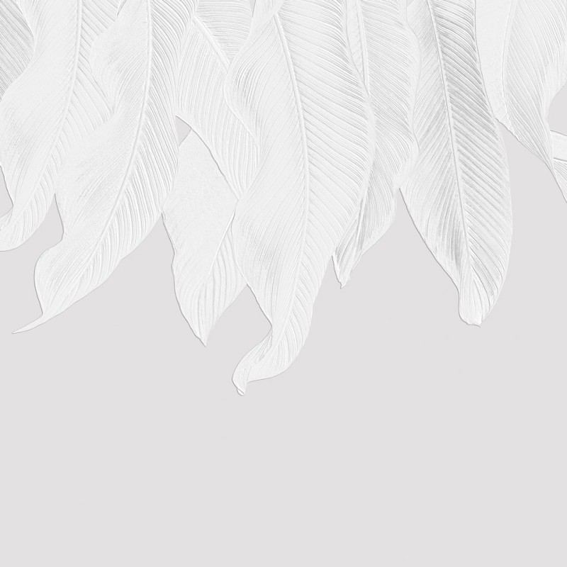 Rimura | White Cascade