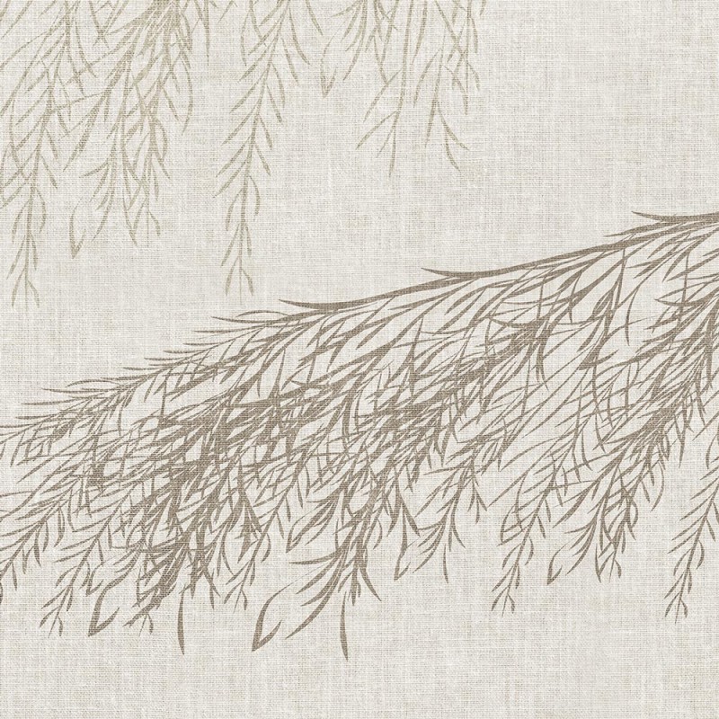 Rimura | Willow