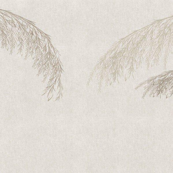Rimura | Willow