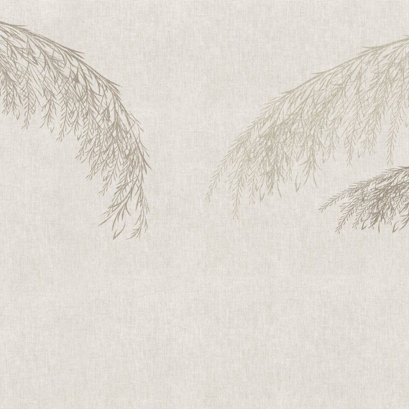 Rimura | Willow