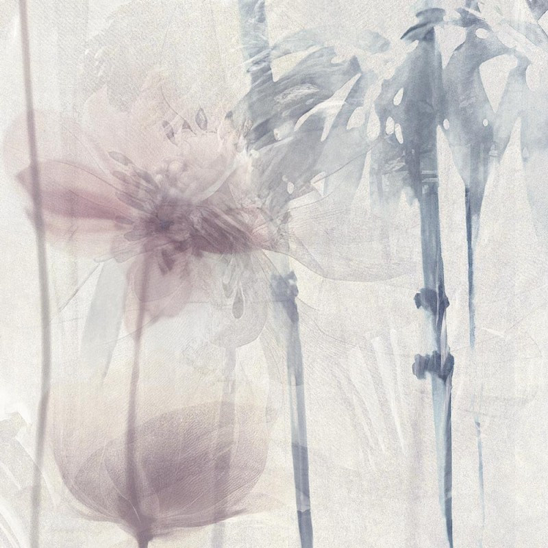 Rimura | Wonderland