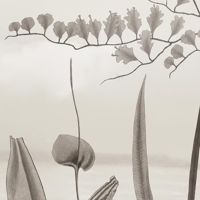 Rimura | Woodland