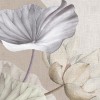 Rimura | Zenlotus