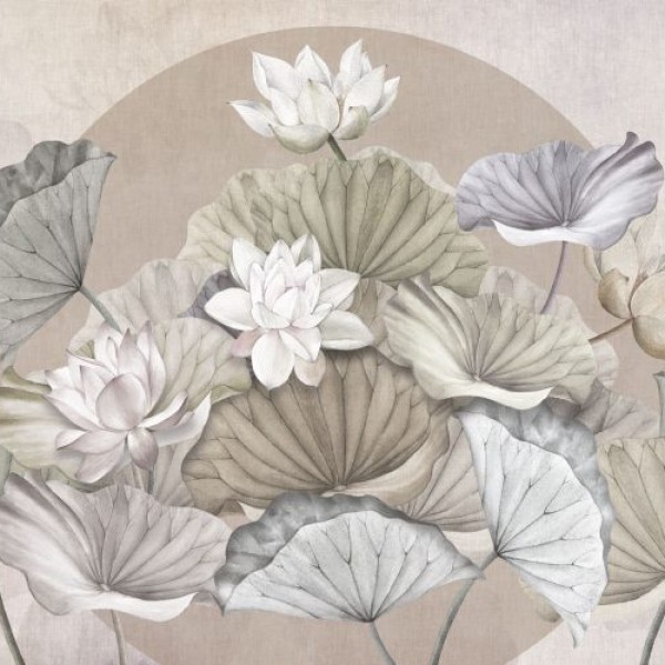 Rimura | Zenlotus