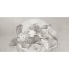 Rimura | Zenlotus