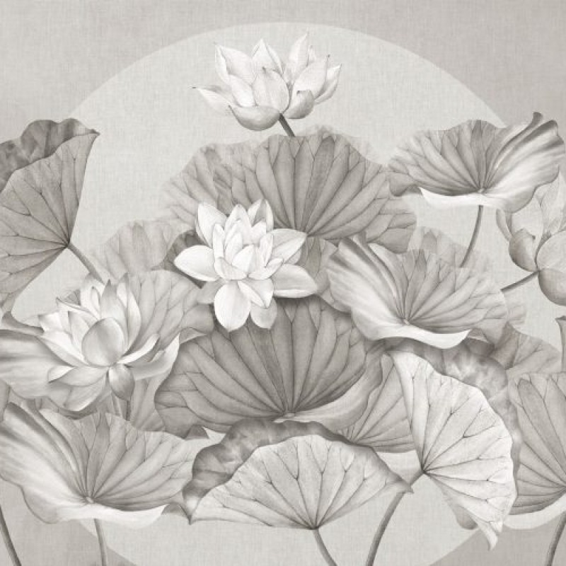 Rimura | Zenlotus