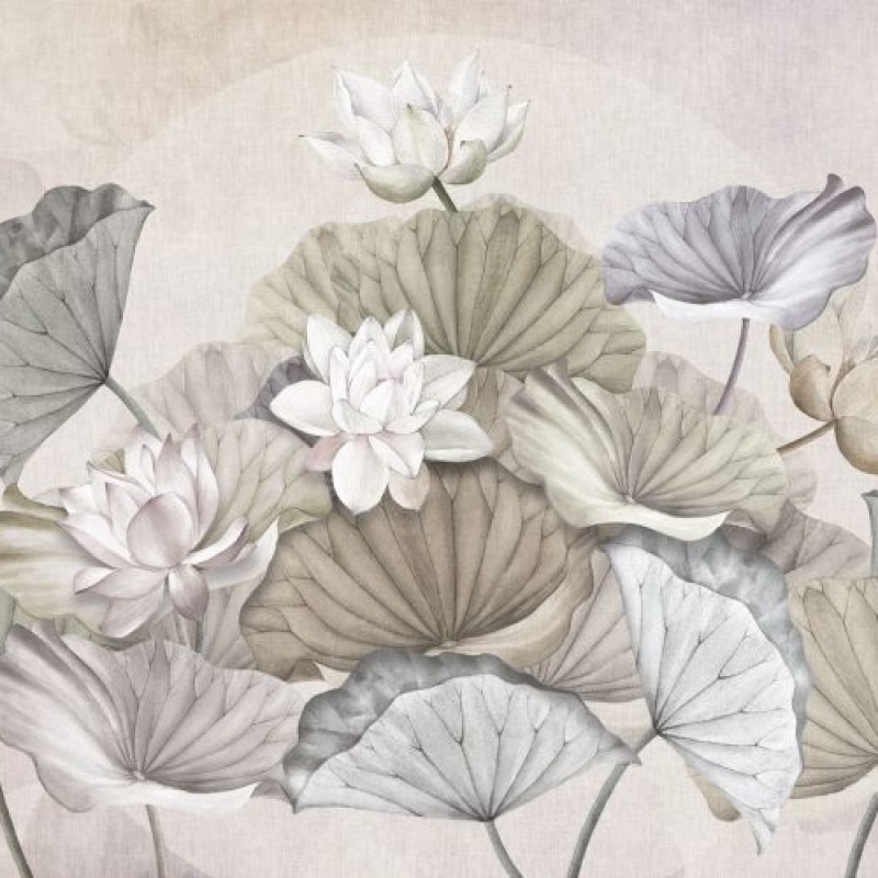 Rimura | Zenlotus