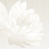 Rimura | Âme