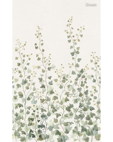 Sandberg / Ivy