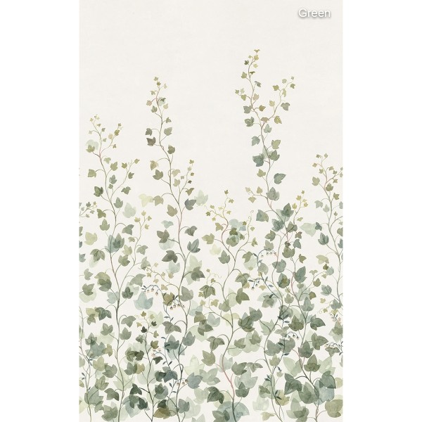 Sandberg / Ivy