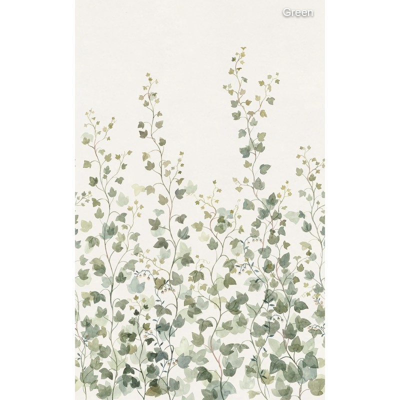 Sandberg / Ivy