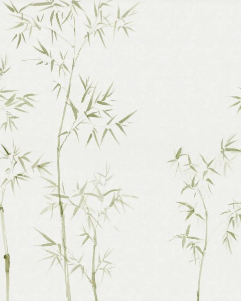 Sandberg / Arashiyama Green 645-06