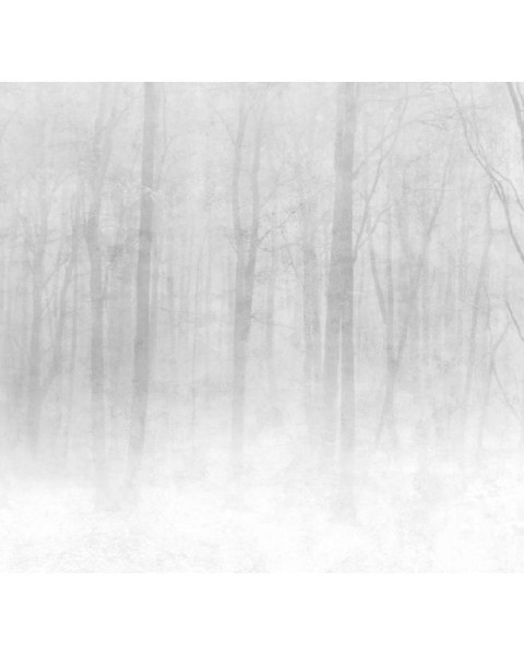 Sandberg / Vinterskog Grey 622-18