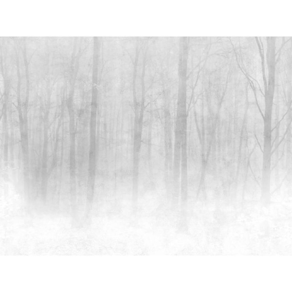 Sandberg / Vinterskog Grey 622-18