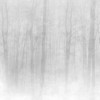 Sandberg / Vinterskog Grey 622-18