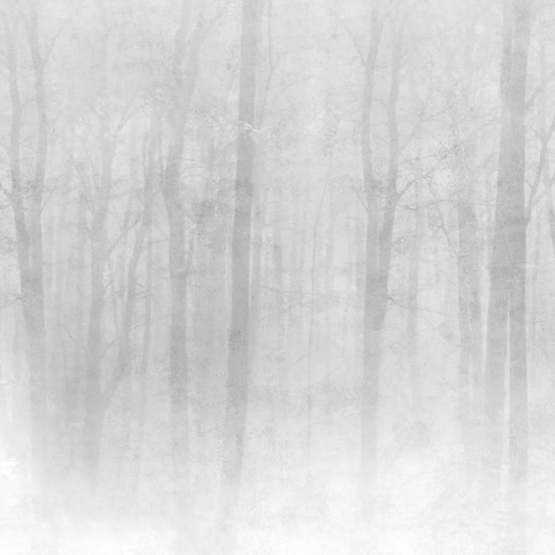 Sandberg / Vinterskog Grey 622-18