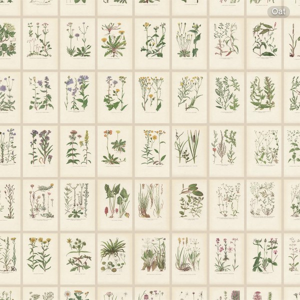 Sandberg / Botanica