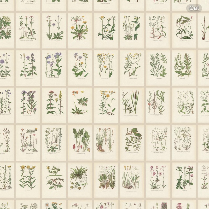 Sandberg / Botanica
