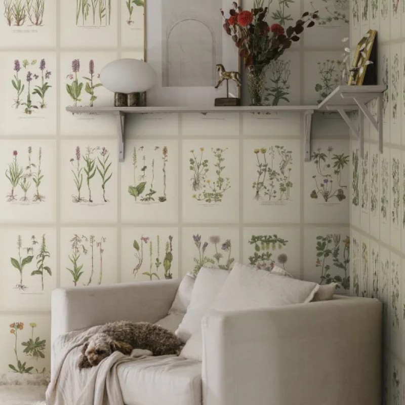 Sandberg / Botanica