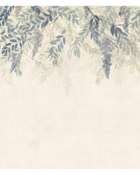 Sandberg / Wisteria
