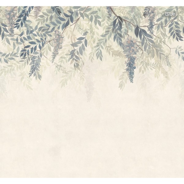 Sandberg / Wisteria
