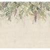 Sandberg / Wisteria