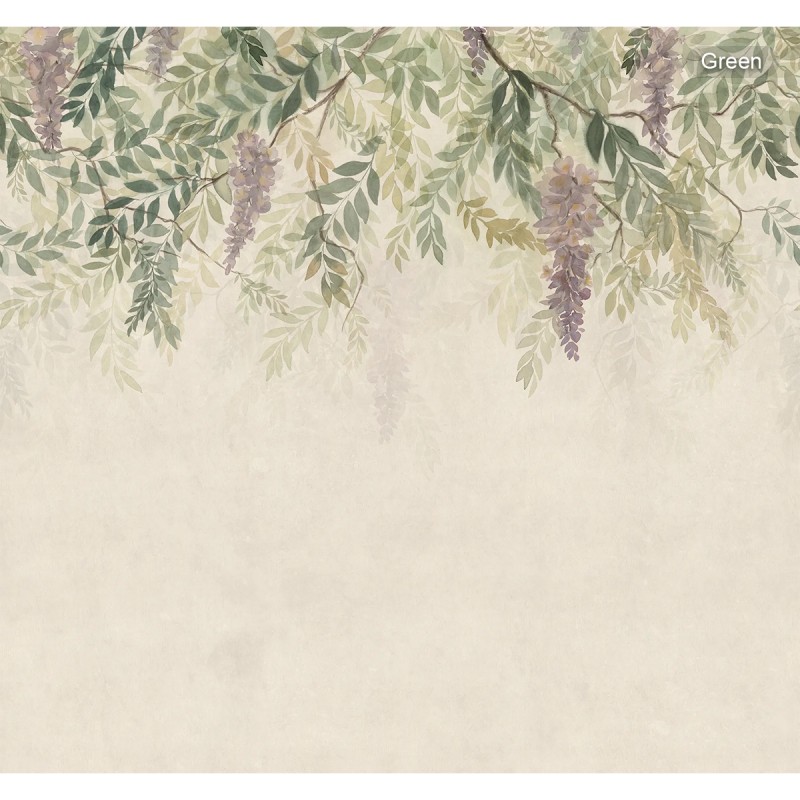 Sandberg / Wisteria