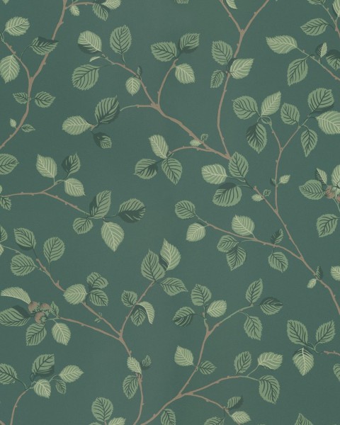 Sandberg / Hassel Dark Green 709-78 