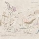 Sandberg | Seabirds