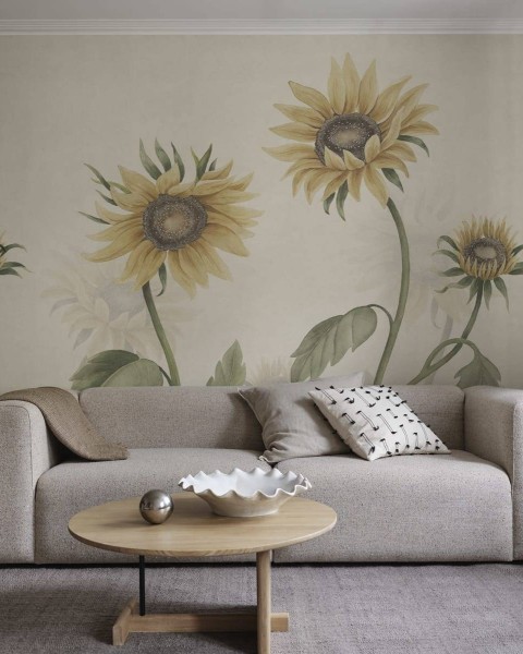 Sandberg / Sunflowers