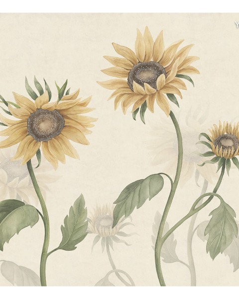 Sandberg / Sunflowers
