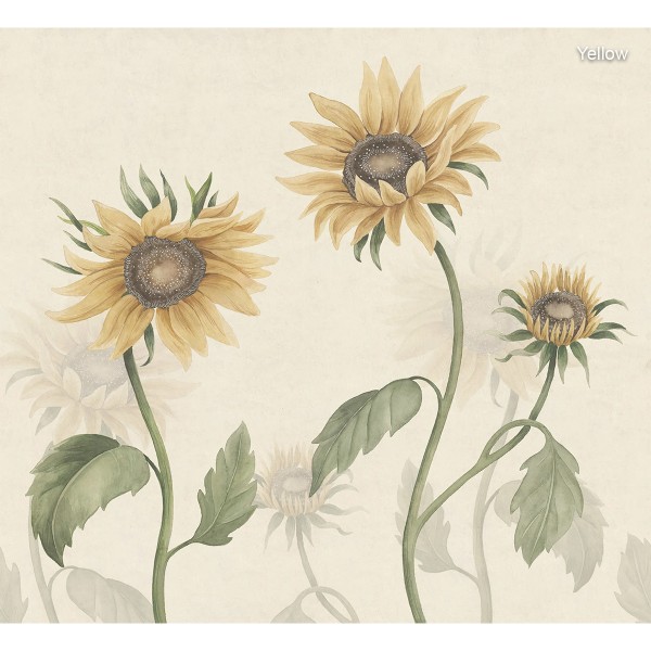 Sandberg / Sunflowers