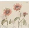 Sandberg / Sunflowers