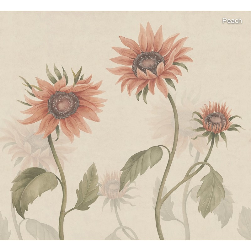 Sandberg / Sunflowers