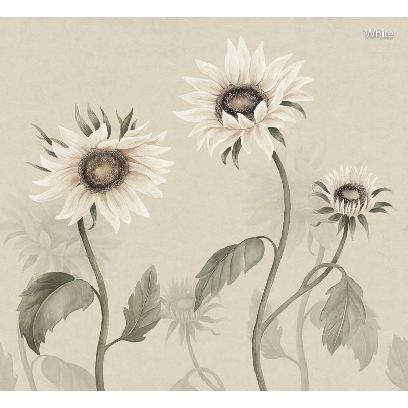 Sandberg / Sunflowers