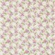 Sanderson | Dallimore