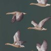 Sanderson | Elysian Geese