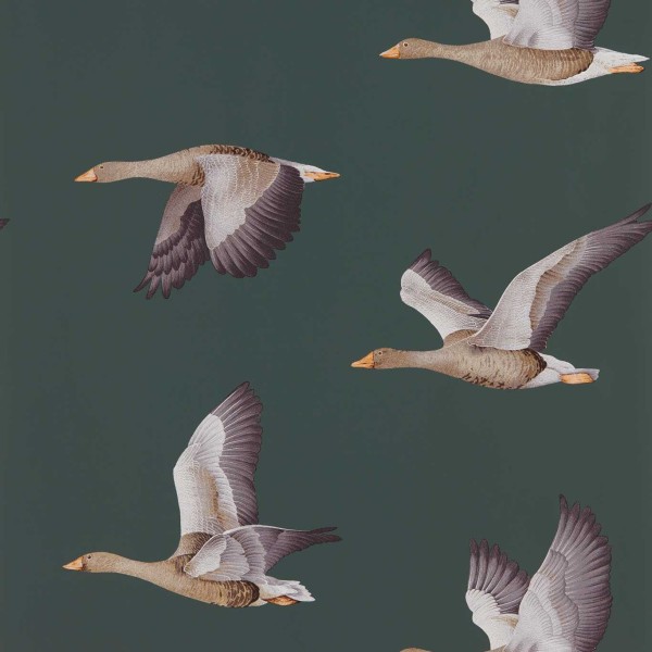 Sanderson | Elysian Geese