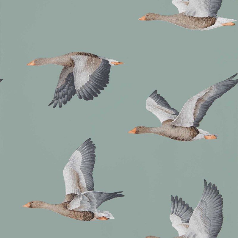Sanderson | Elysian Geese