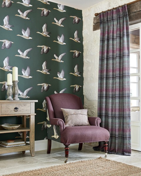 Sanderson | Elysian Geese