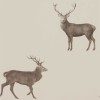 Sanderson | Evesham Deer